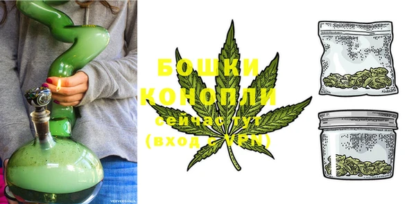 тгк Богородск