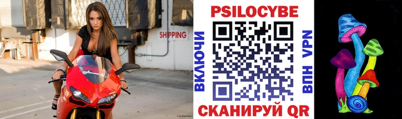Галлюциногенные грибы Psilocybine cubensis Баксан