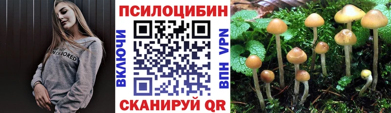 Псилоцибиновые грибы Magic Shrooms  магазин продажи наркотиков  Баксан 